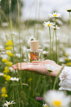 Arcadie Florale