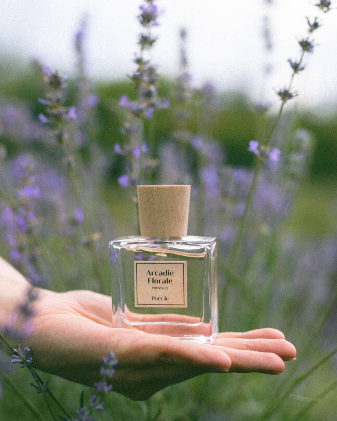 Arcadie Florale