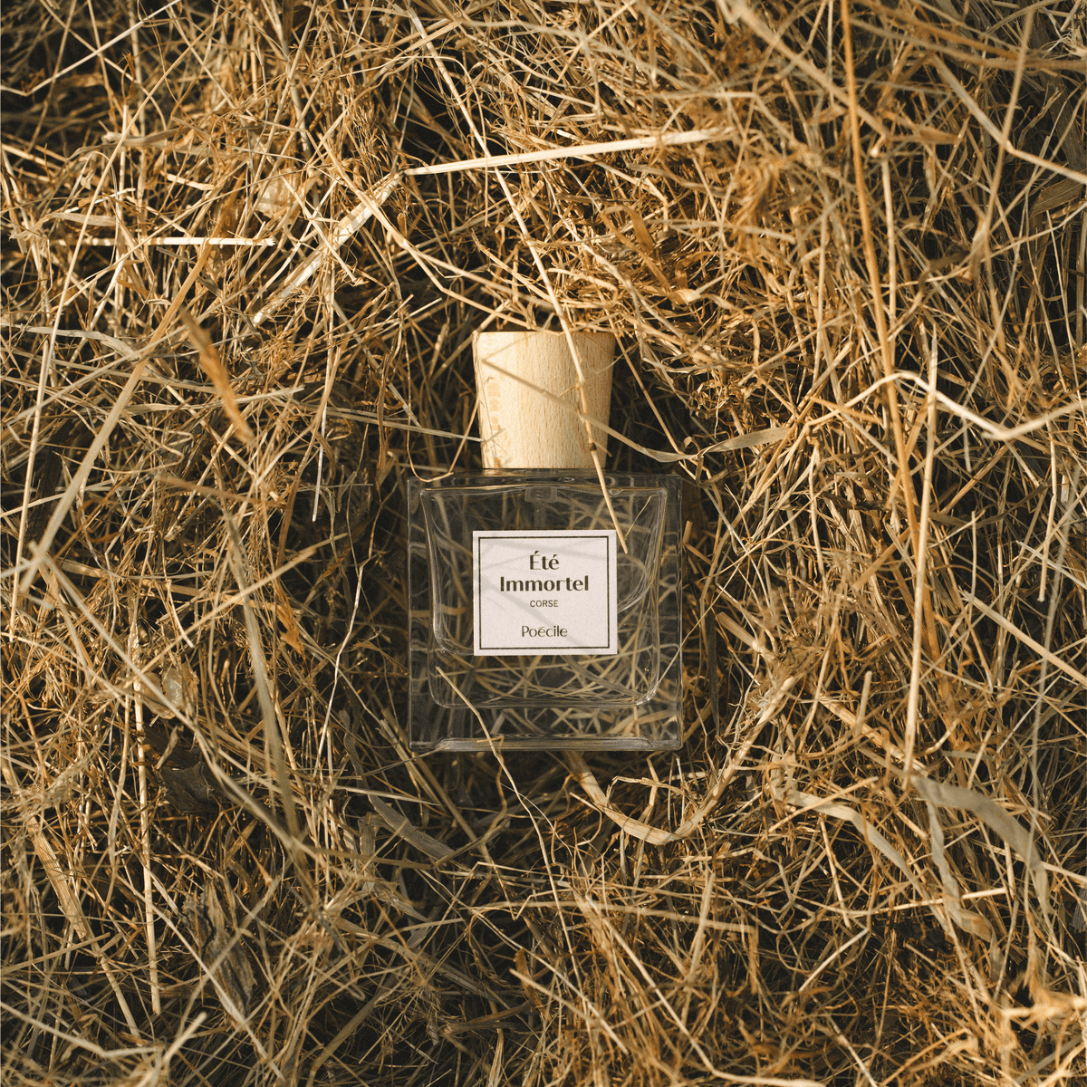 Eté Immortelle