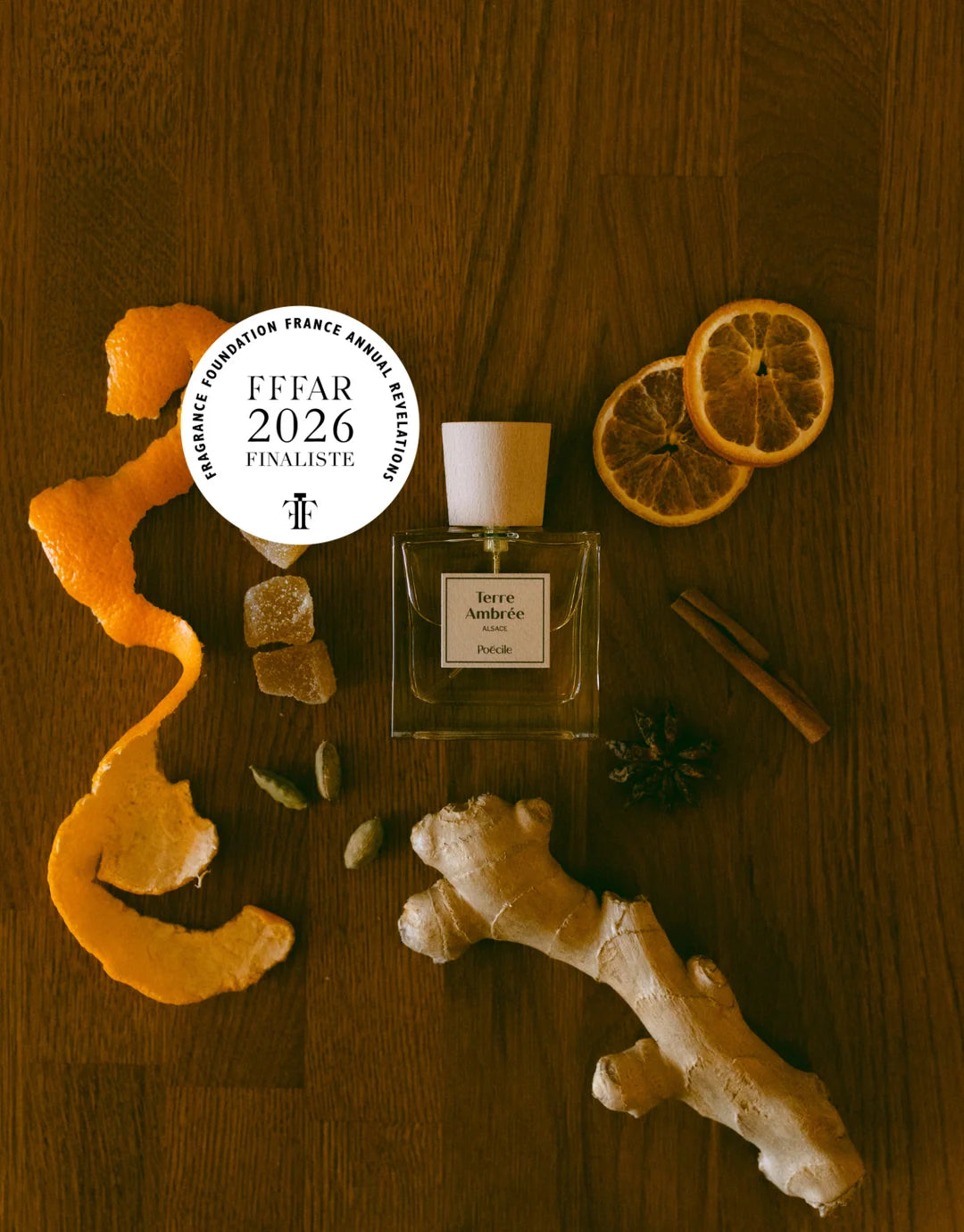 Terre Ambrée