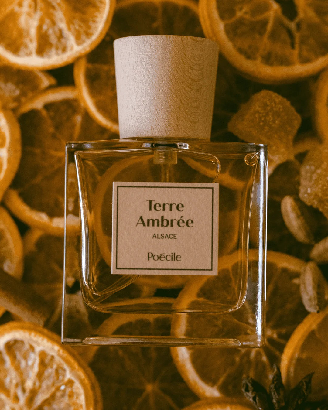 Terre Ambrée