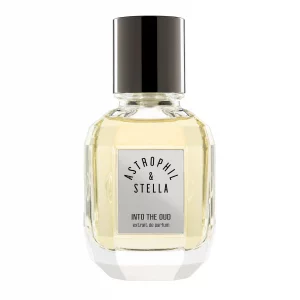 Astrophil & Stella Into The Oud